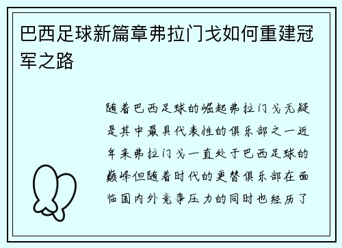 巴西足球新篇章弗拉门戈如何重建冠军之路
