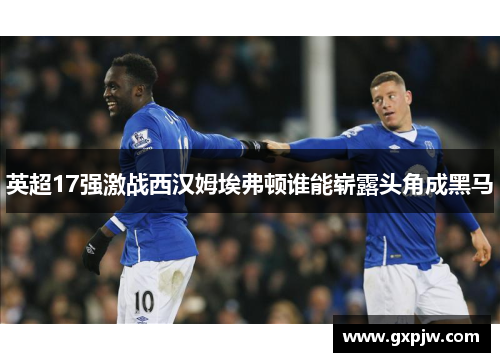 英超17强激战西汉姆埃弗顿谁能崭露头角成黑马 英超17强激战西汉姆埃弗顿谁能崭露头角成黑马